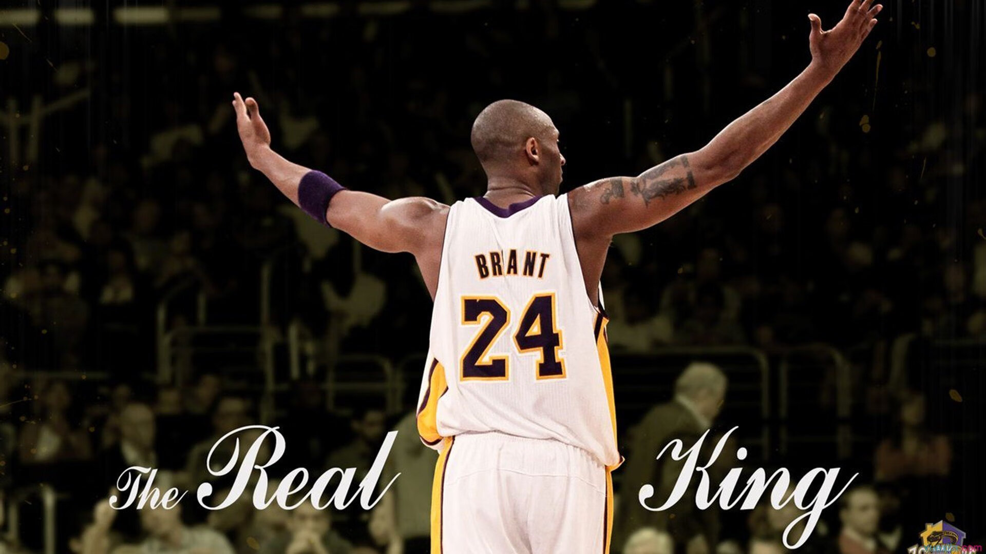 _鹈鹕持续磨合，展现潜力无限_，鹈鹕专区